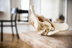 Beckenboden verstehen