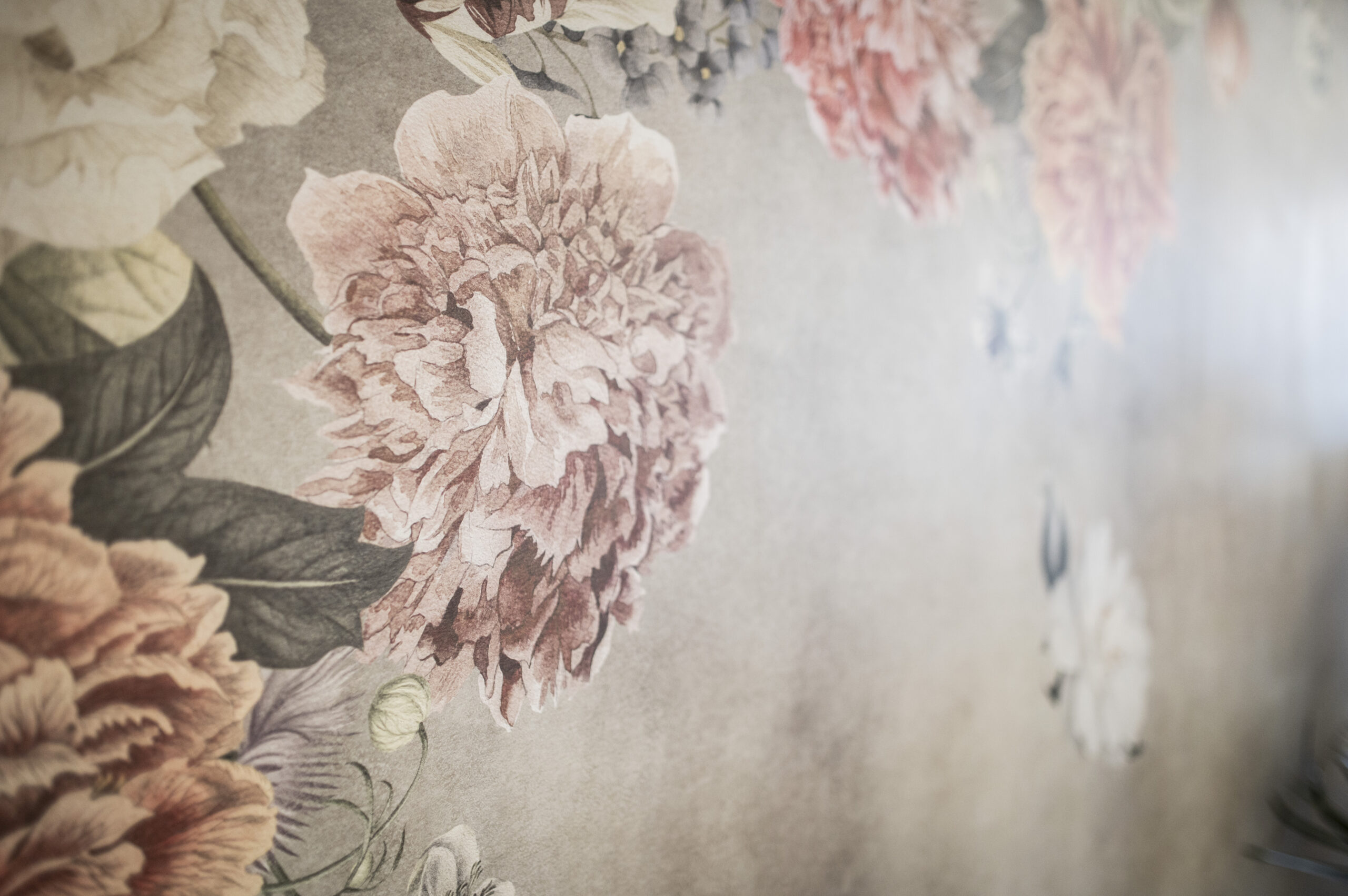 Symbolbild für Organsenkung – sanfte Aufrichtung, Beckenstabilität und weibliche Körperwahrnehmung