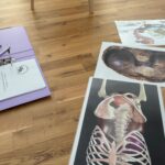 Anatomie-Unterlagen und Schulungsmappe auf einem Holzfußboden während einer Fortbildung zum funktionellen Beckenbodentraining – mit Abbildungen der Beckenorgane und des Zwerchfells im Vordergrund.