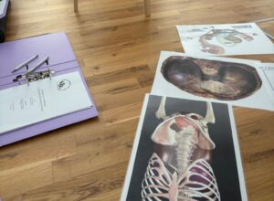Anatomie-Unterlagen und Schulungsmappe auf einem Holzfußboden während einer Fortbildung zum funktionellen Beckenbodentraining – mit Abbildungen der Beckenorgane und des Zwerchfells im Vordergrund.
